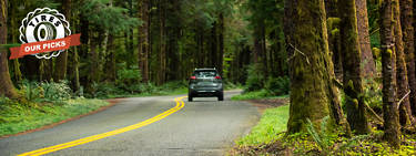 An image of a car going down a road away from the viewer surrounded by trees.
