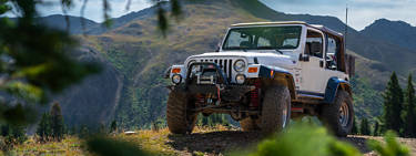 An image of a Jeep atop a hillside shown between trees.