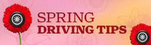 Flowers with tires and sheels at the center surrounding the phrase 'Spring Driving Tips'