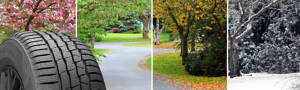 All-season tire with the four seasons in separate images