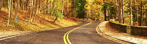 road passing through a forest in autumn