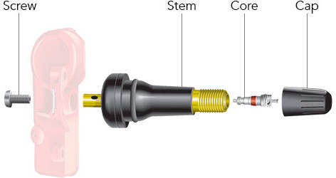 Screw, Stem, Core, Cap in diagram of a Rubber TPMS Rebuild Kit