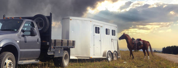 Horse tied to a horse trailer featuring trailer tires and hitched to a dually.