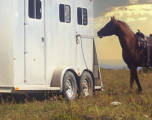Trailer Tires on a horse trailer next to a horse