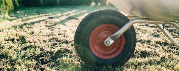 An image of a tire in the foreground with a wheelbarrow in front of a garden in the background.
