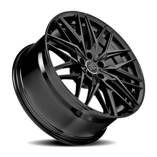 MSW Type 50 Type 50 product medium 21  X9.5   5-112.00 31  BKGLXX