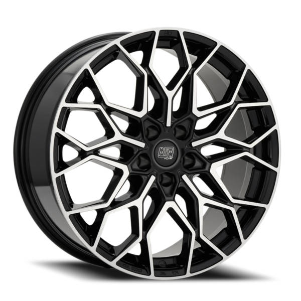MSW Type 51 Type 51 product medium 21  X9.5   5-112.00 31  BKGLXX