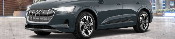  Audi e-tron  tires