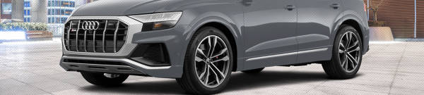 2024 Audi SQ8 4.0T W/ Ceramic Brakes tires