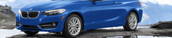  BMW 228i  tires