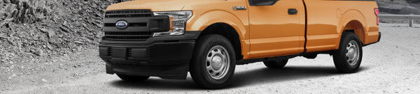 2020 Ford F-150  tires