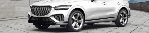  Genesis GV70  tires