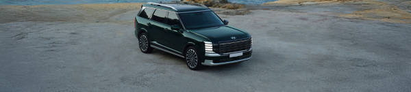 2026 Hyundai Palisade  tires