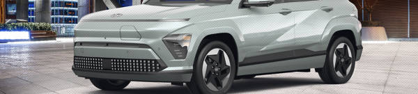  Hyundai Kona Electric  tires