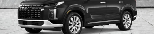  Hyundai Palisade  wheels