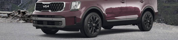 Kia Telluride Rims | 2024 Kia Telluride Black Wheels | 2024 Kia ...