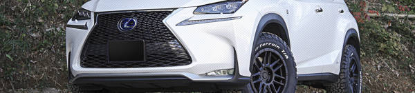  Lexus NX300h  tires