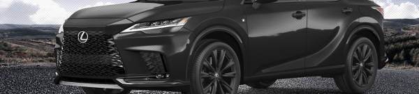  Lexus RX 500h  tires