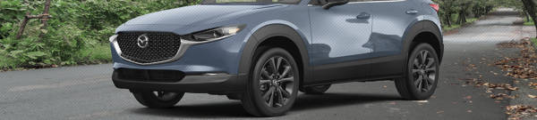 2021 Mazda CX-30 2.5 S AWD wheels