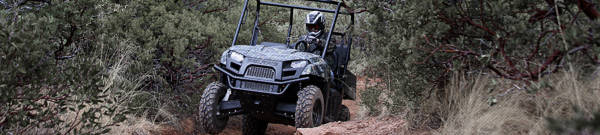 2020 Polaris Ranger EV Wheels & Rims | America's Tire