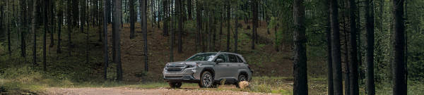 2023 Subaru Forester  tires