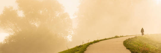 Road in nature on a spring morning